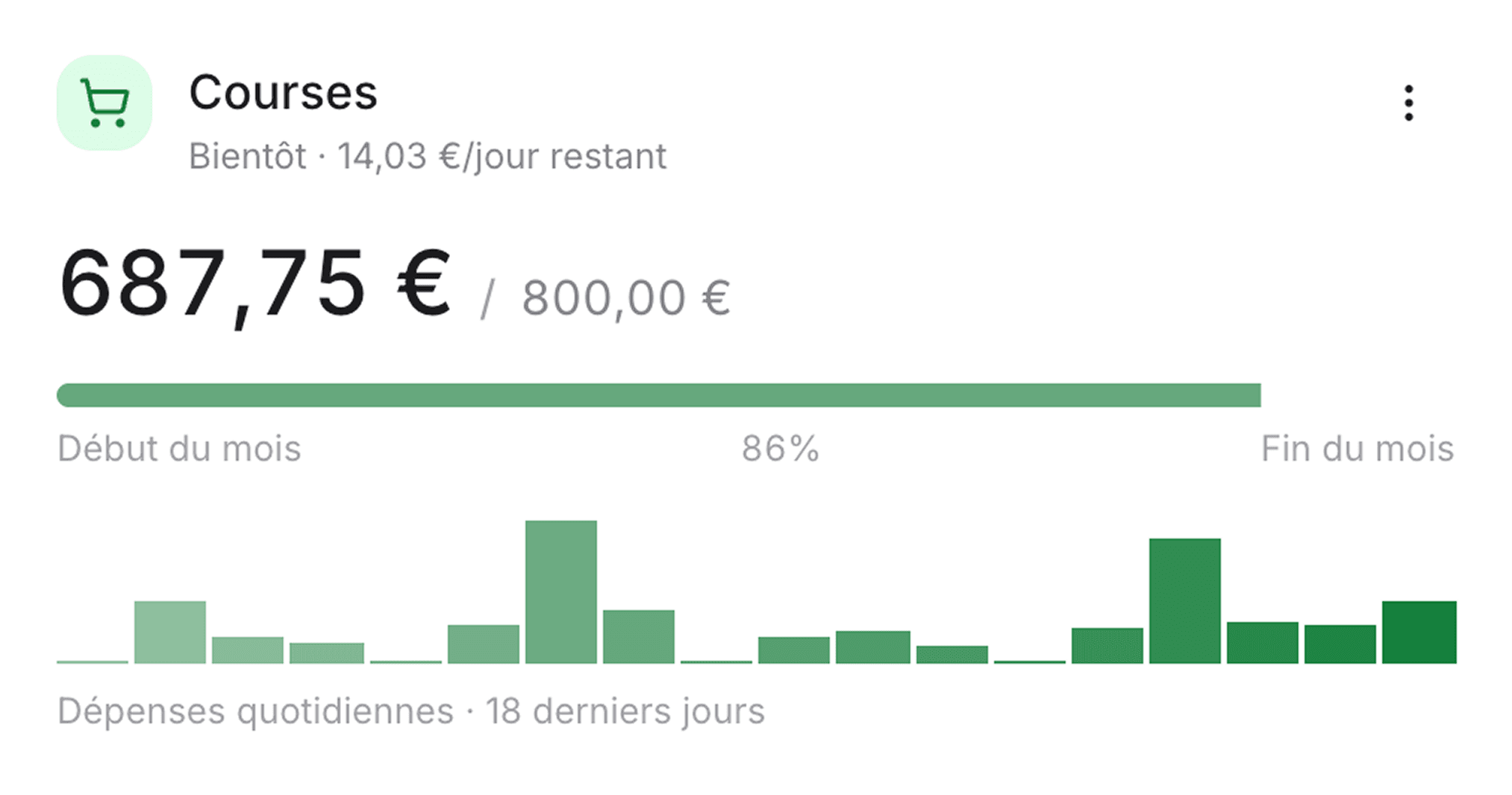 Cartes de budget avec progression et dépenses du jour